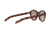 Sunglasses Prada Conceptual PR 24VS (520719)