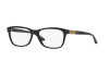 Brille Ralph Lauren RL 6159Q (5001)