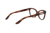 Eyeglasses Ralph Lauren RL 6192 (5007)