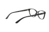 Brille Ralph Lauren RL 6204 (5001)