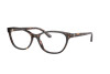 Brille Ralph Lauren RL 6204 (5003)