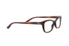 Brille Ralph Lauren RL 6205 (5007)