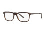 Brille Ralph Lauren RL 6215 (5003)