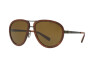 Lunettes de soleil Ralph Lauren RL 7053 (900573)