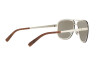 Солнцезащитные очки Ralph Lauren RL 7055 (90306G)