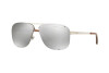 Солнцезащитные очки Ralph Lauren RL 7055 (90306G)