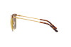 Sonnenbrille Ralph Lauren RL 7061 (93537P)