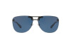 Sunglasses Ralph Lauren RL 7062 (570780)