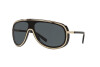 Lunettes de soleil Ralph Lauren RL 7069 (900487)