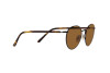 Lunettes de soleil Ralph Lauren RL 7076 (900353)