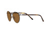 Солнцезащитные очки Ralph Lauren RL 7076 (900353)