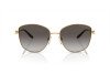 Sunglasses Ralph Lauren The Vivienne RL 7079 (90048G)