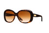 Occhiali da Sole Ralph Lauren RL 8087 (500313)