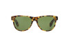 Солнцезащитные очки Ralph Lauren RL 8129P (500452)