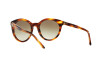 Lunettes de soleil Ralph Lauren RL 8138 (50078E)