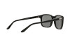 Sunglasses Ralph Lauren RL 8142 (500187)