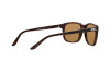 Sonnenbrille Ralph Lauren RL 8142 (500383)