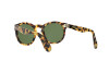 Sunglasses Ralph Lauren RL 8146P (500452)