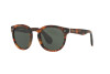 Occhiali da Sole Ralph Lauren RL 8146P (501752)