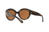 Occhiali da Sole Ralph Lauren RL 8159 (56346H)