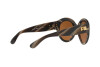 Occhiali da Sole Ralph Lauren RL 8159 (56346H)