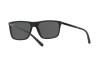 Sunglasses Ralph Lauren RL 8161 (565387)