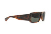 Солнцезащитные очки Ralph Lauren RL 8163P (501752)