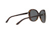 Sunglasses Ralph Lauren RL 8166 (500387)