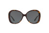 Sunglasses Ralph Lauren RL 8166 (500387)