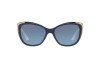 Sunglasses Ralph Lauren RL 8171 (57298F)