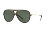 Lunettes de soleil Ralph Lauren RL 8177 (500171)