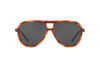 Sunglasses Ralph Lauren RL 8177 (576687)