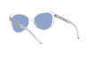 Lunettes de soleil Ralph Lauren RL 8184 (500272)