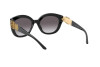 Sonnenbrille Ralph Lauren RL 8185 (50018G)