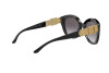 Sonnenbrille Ralph Lauren RL 8185 (50018G)