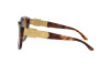 Lunettes de soleil Ralph Lauren RL 8185 (500713)