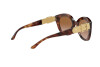 Lunettes de soleil Ralph Lauren RL 8185 (500713)