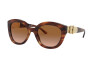 Lunettes de soleil Ralph Lauren RL 8185 (500713)