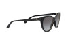 Zonnebril Ralph Lauren RL 8186 (50018G)