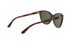 Occhiali da Sole Ralph Lauren RL 8186 (500771)