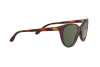 Occhiali da Sole Ralph Lauren RL 8186 (500771)