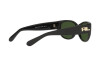 Sonnenbrille Ralph Lauren RL 8193 (500171)