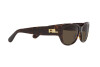 Sonnenbrille Ralph Lauren RL 8193 (500373)