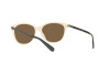 Sonnenbrille Ralph Lauren RL 8198U (559873)