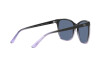 Sonnenbrille Ralph Lauren RL 8201 (602180)