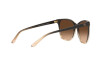 Sunglasses Ralph Lauren RL 8201 (602274)