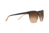 Occhiali da Sole Ralph Lauren RL 8201 (602274)