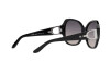 Sunglasses Ralph Lauren RL 8202B (5001V6)