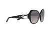 Sonnenbrille Ralph Lauren RL 8202B (5001V6)