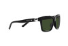 Lunettes de soleil Ralph Lauren RL 8203QU (500171)